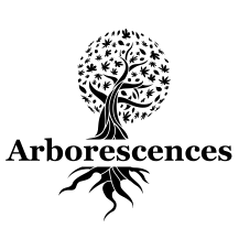 Arborescences